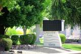 10321 Floriade Drive - Photo 62