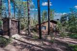 497 Coyote Trail - Photo 59