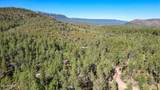 497 Coyote Trail - Photo 67