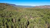497 Coyote Trail - Photo 69
