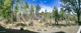 3186 Pine Lakes Drive - Photo 52