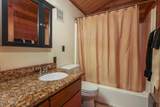 17163 Winding Trail - Photo 34