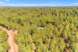 625 Trout Springs Road - Photo 119