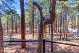 625 Trout Springs Road - Photo 77