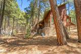 625 Trout Springs Road - Photo 8