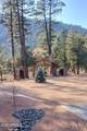 1903 Phoenix Circle - Photo 41