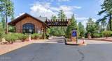 500 Grapevine Drive - Photo 62