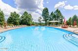 500 Grapevine Drive - Photo 64