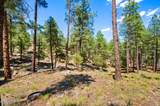 5201 Yellow Dog Road - Photo 126