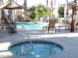 7350 Via Paseo Del Sur - Photo 35