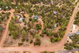3650 Pine Rim Drive - Photo 45