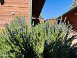 6442 Ruin Hill Loop - Photo 48