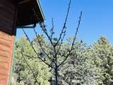 6442 Ruin Hill Loop - Photo 49
