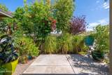 2219 Catalina Drive - Photo 8