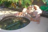 245 Gail Drive - Photo 18