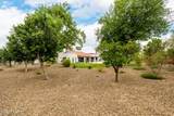 10380 Cholla Street - Photo 62