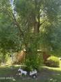 313 15TH Street - Photo 13