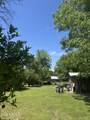 313 15TH Street - Photo 6