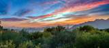 39810 105TH Way - Photo 3
