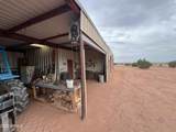 5457 White Antelope Road - Photo 44