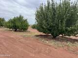 5457 White Antelope Road - Photo 62