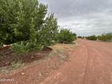 5457 White Antelope Road - Photo 64