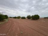 5457 White Antelope Road - Photo 65