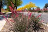 25935 Potter Drive - Photo 41