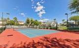 7614 Cactus Wren Road - Photo 25