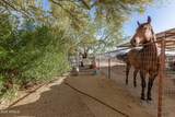 14145 Cavedale Drive - Photo 44
