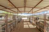 14145 Cavedale Drive - Photo 46