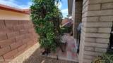 650 65TH Way - Photo 41