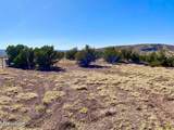 TBD Co Rd 5062 Lot 1 3.53 Acres - Photo 20