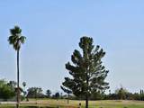 15041 Brook Hollow Road - Photo 29
