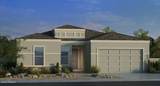4050 Brittlebush Lane - Photo 1