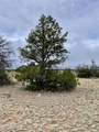 3998 Red Butte Road - Photo 16