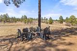 2802 Zane Grey Boulevard - Photo 42