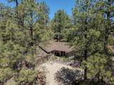 1902 Pine Tree Drive - Photo 43