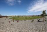 823 Riparian Drive - Photo 15