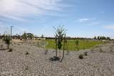 793 Riparian Drive - Photo 5