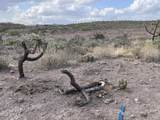 00 Elephant Butte Road - Photo 1