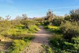 2425 Bronco Butte Trail - Photo 37