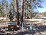 2540 Pinegrass Road - Photo 6