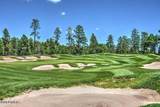 1301 Lakeside Trail - Photo 17
