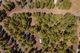 4571 Sky Hi Road - Photo 10