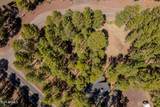 4571 Sky Hi Road - Photo 9