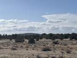 0 Parcel #301-10-230-1557 - Photo 3