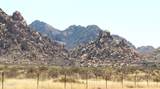 M44 Horse Ranch Road - Photo 8