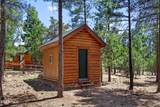 4774 Mountain Lion Circle - Photo 29