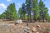 4774 Mountain Lion Circle - Photo 31